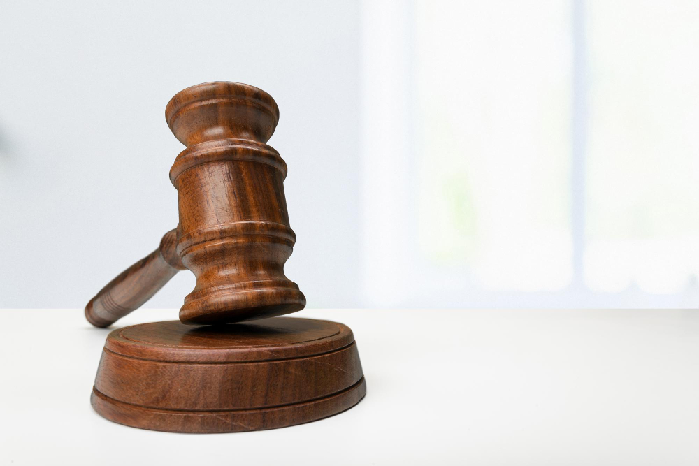 Como Funciona Um Leilão